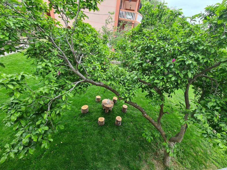 Holiday Home Vulezic 巴尔 外观 照片