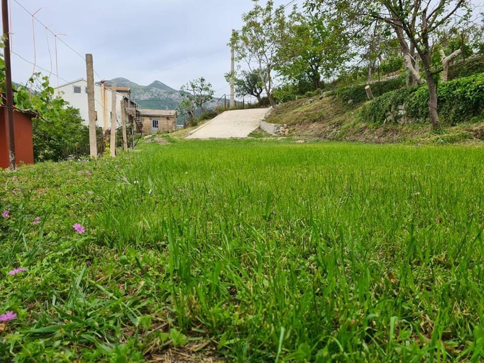 Holiday Home Vulezic 巴尔 外观 照片